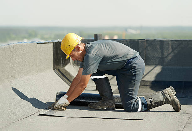 Best DIY Insulation Kits and Guidance in Bristol, VA
